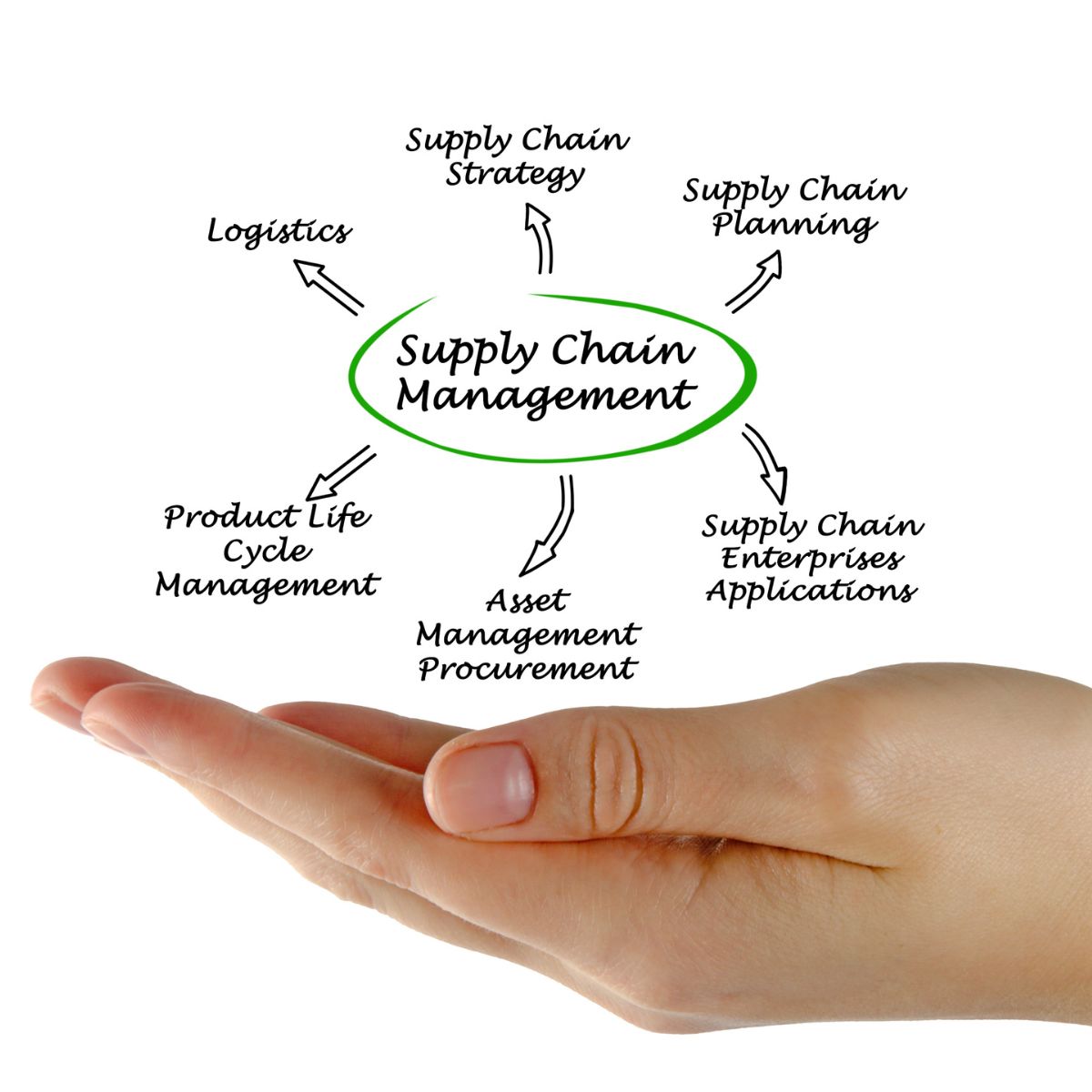 Why is your supply chain critical to success?